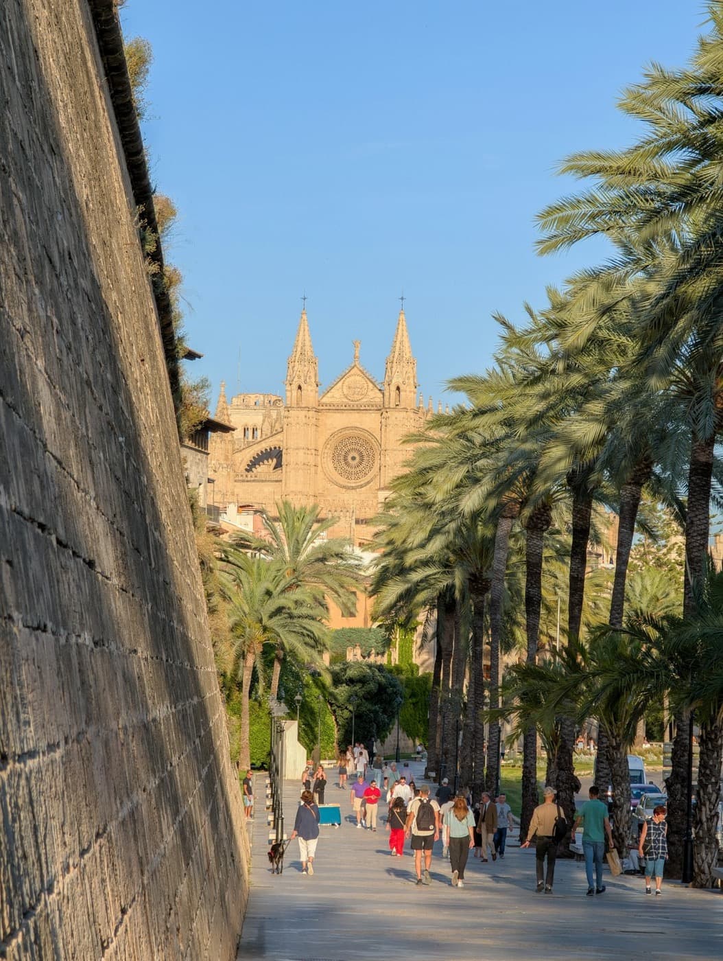 Vista de Palma